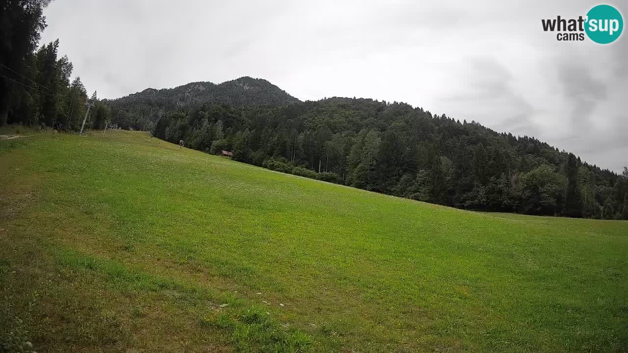 Comprensorio sciistico Kranjska Gora | Brsnina