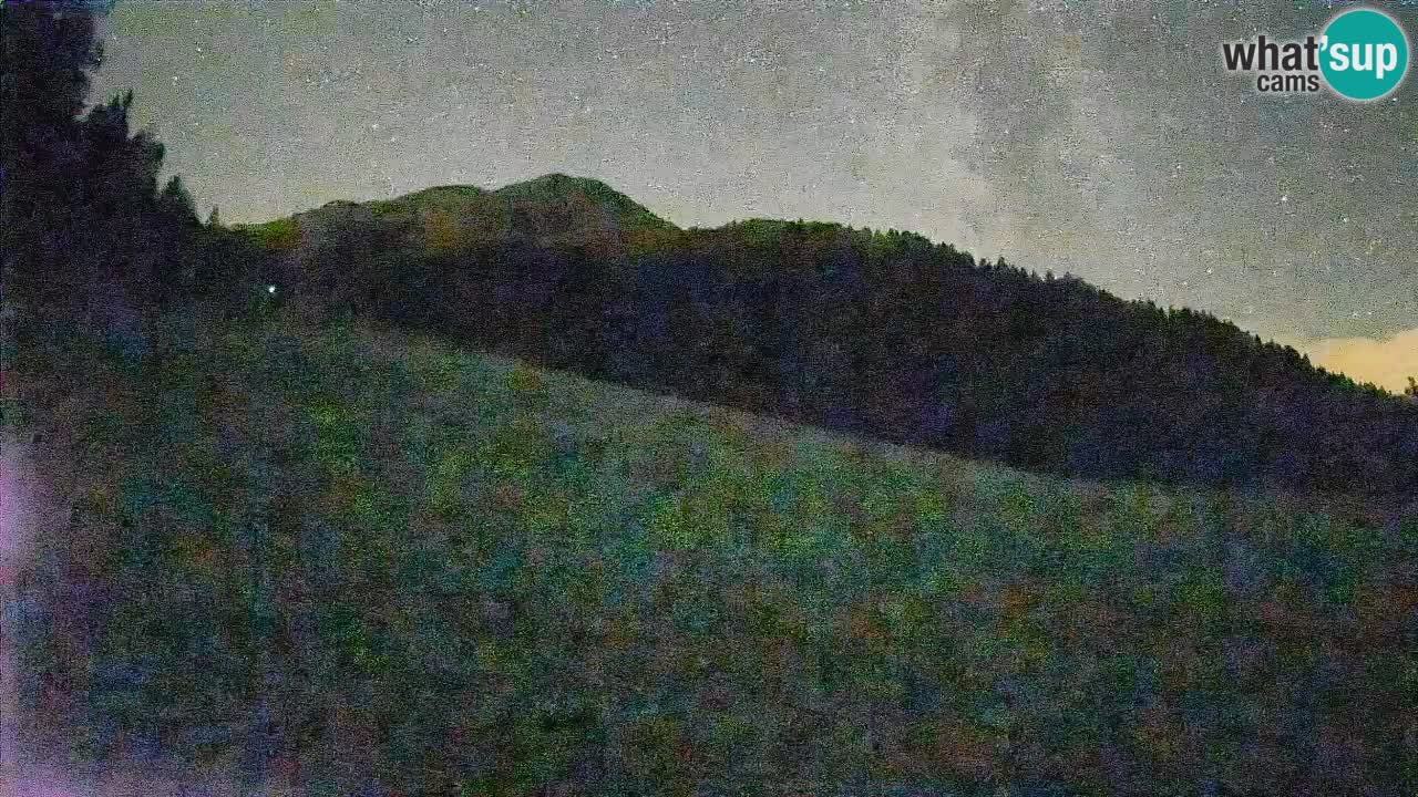 Comprensorio sciistico Kranjska Gora | Brsnina