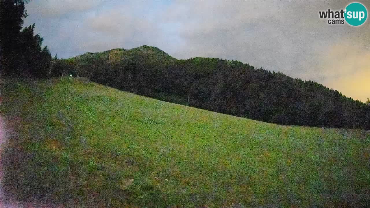Esquí Kranjska Gora | Brsnina