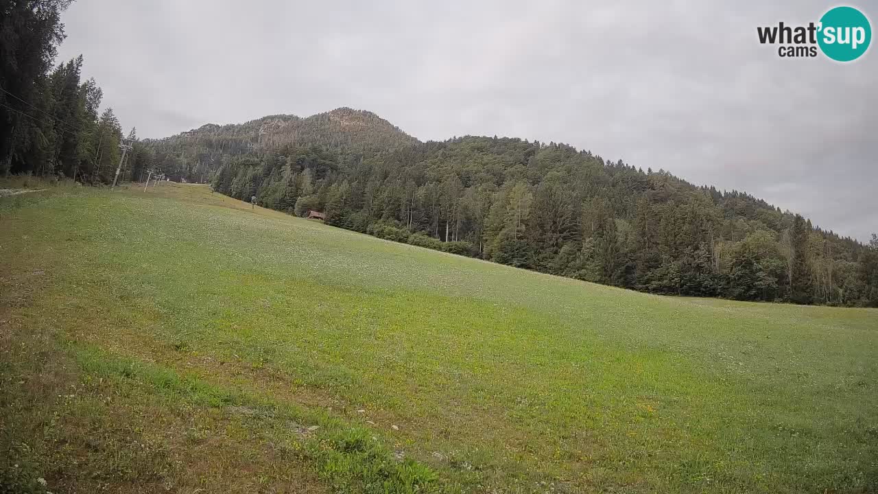 Kranjska Gora Station de ski | Brsnina