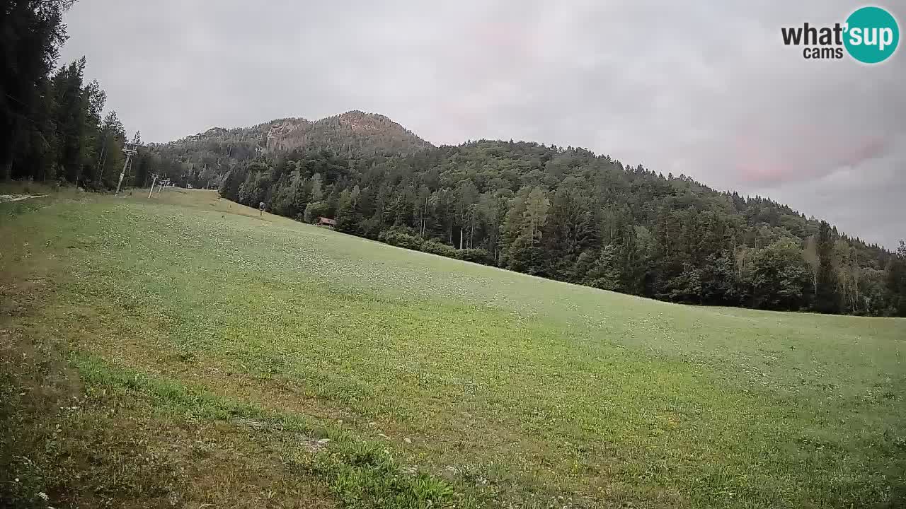 Kranjska Gora Station de ski | Brsnina