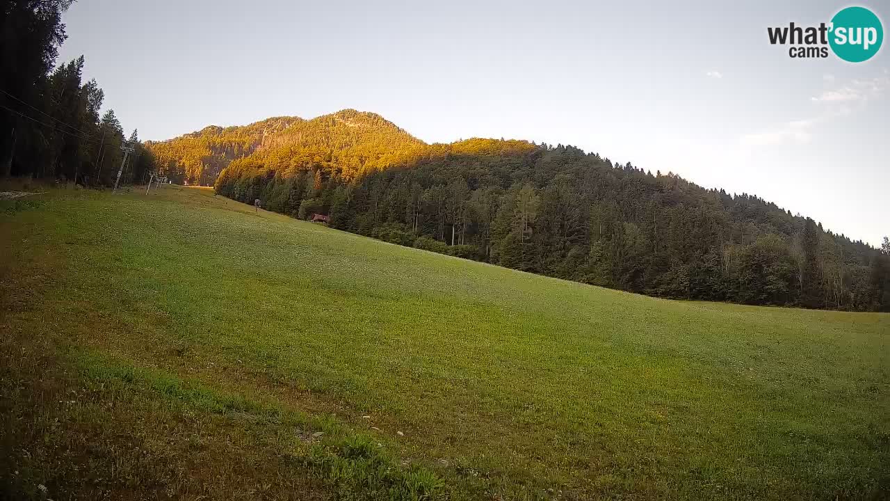 Comprensorio sciistico Kranjska Gora | Brsnina