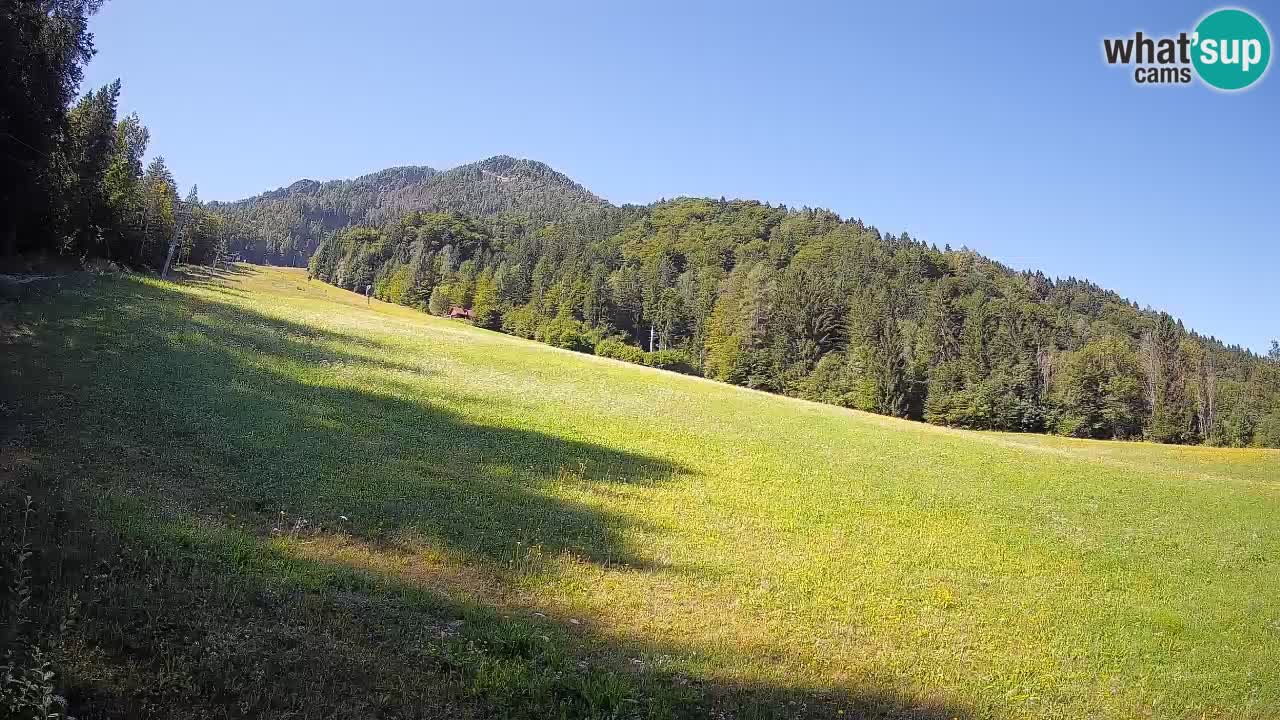 RTC Skigebiet Kranjska Gora | Brsnina