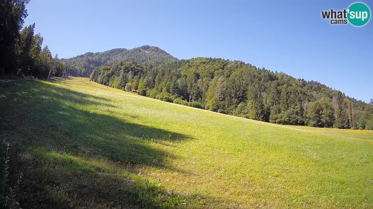 Kranjska Gora SKIJANJE | Brsnina