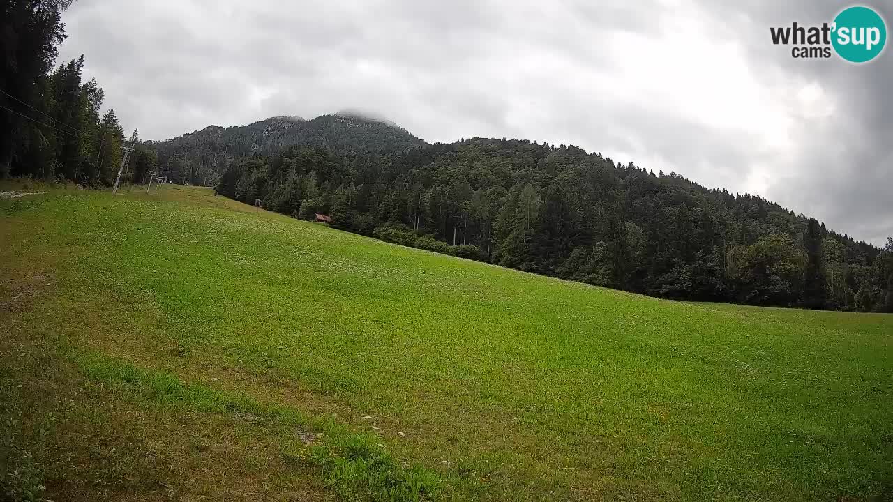 RTC Skigebiet Kranjska Gora | Brsnina