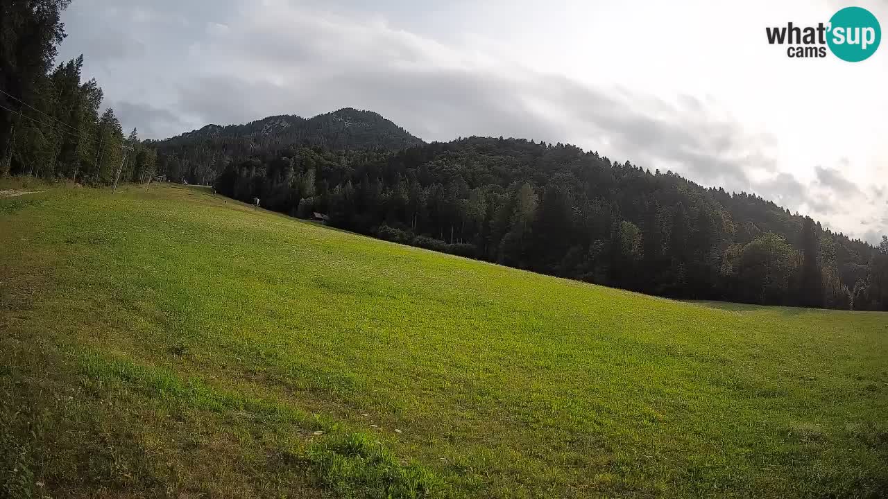 RTC Kranjska Gora | Brsnina