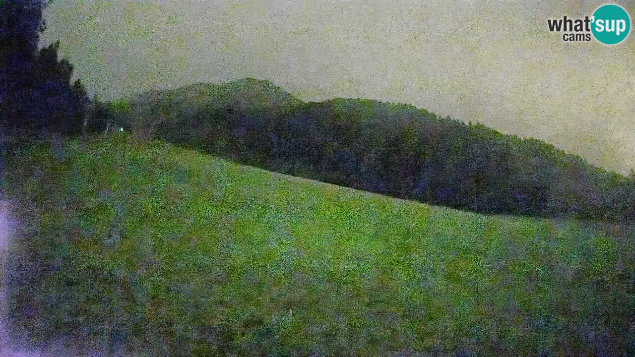 Ski Kranjska Gora | Brsnina