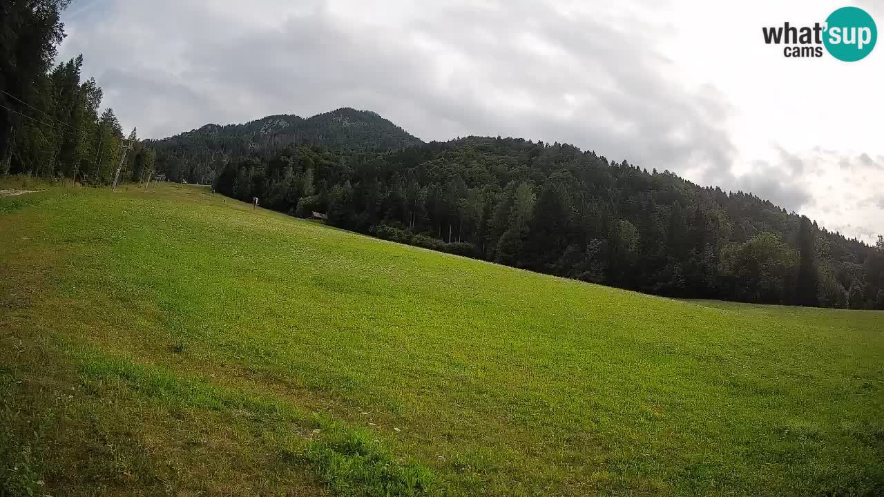 RTC Kranjska Gora | Brsnina