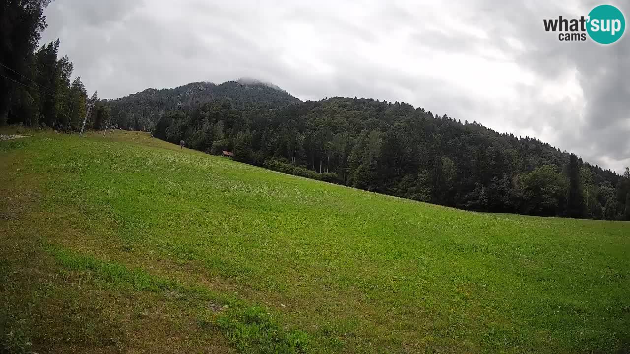 RTC Skigebiet Kranjska Gora | Brsnina