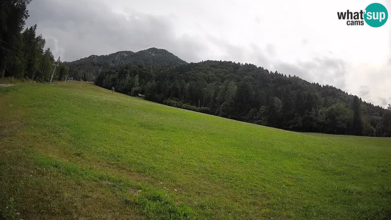 RTC Skigebiet Kranjska Gora | Brsnina