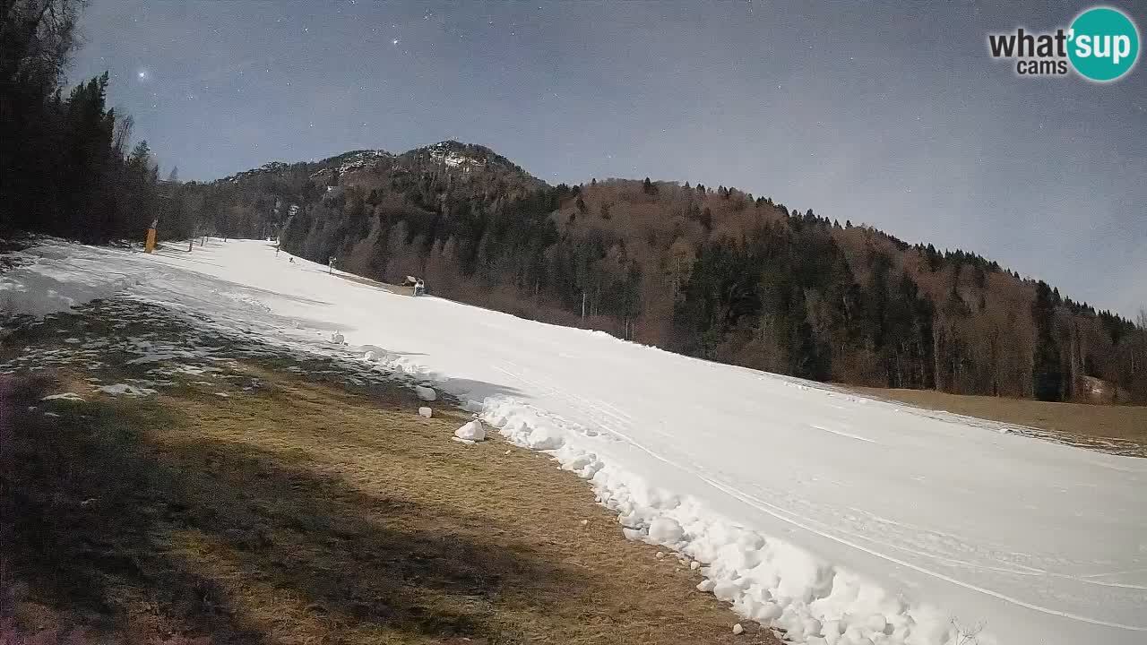 Esquí Kranjska Gora | Brsnina