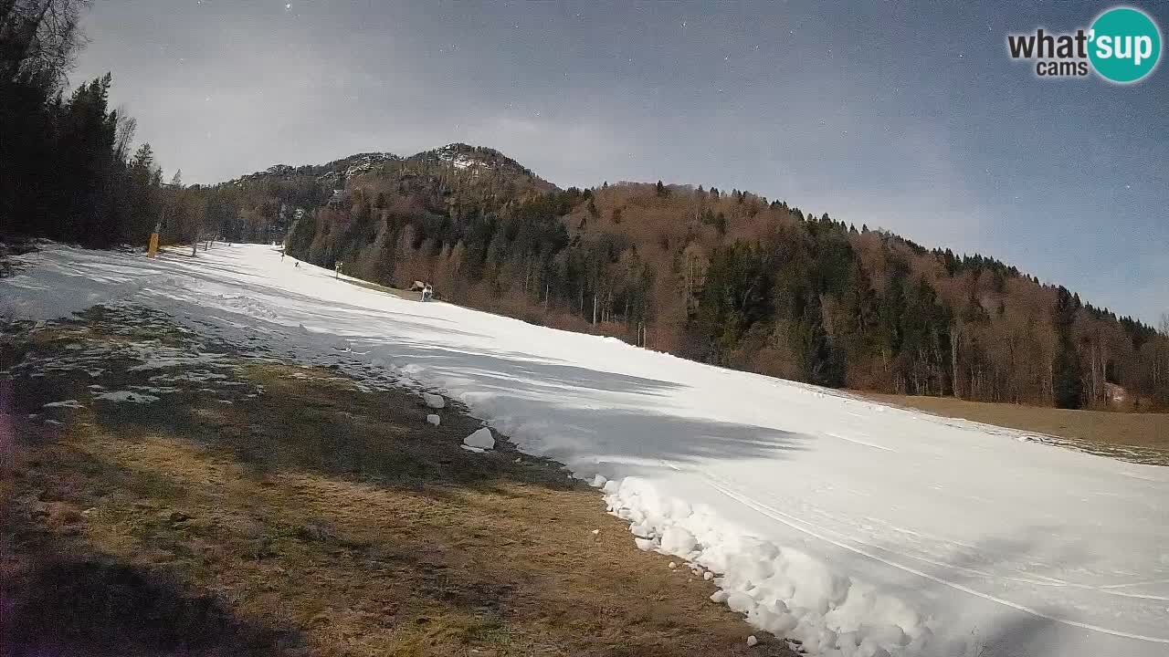 RTC Kranjska Gora | Brsnina