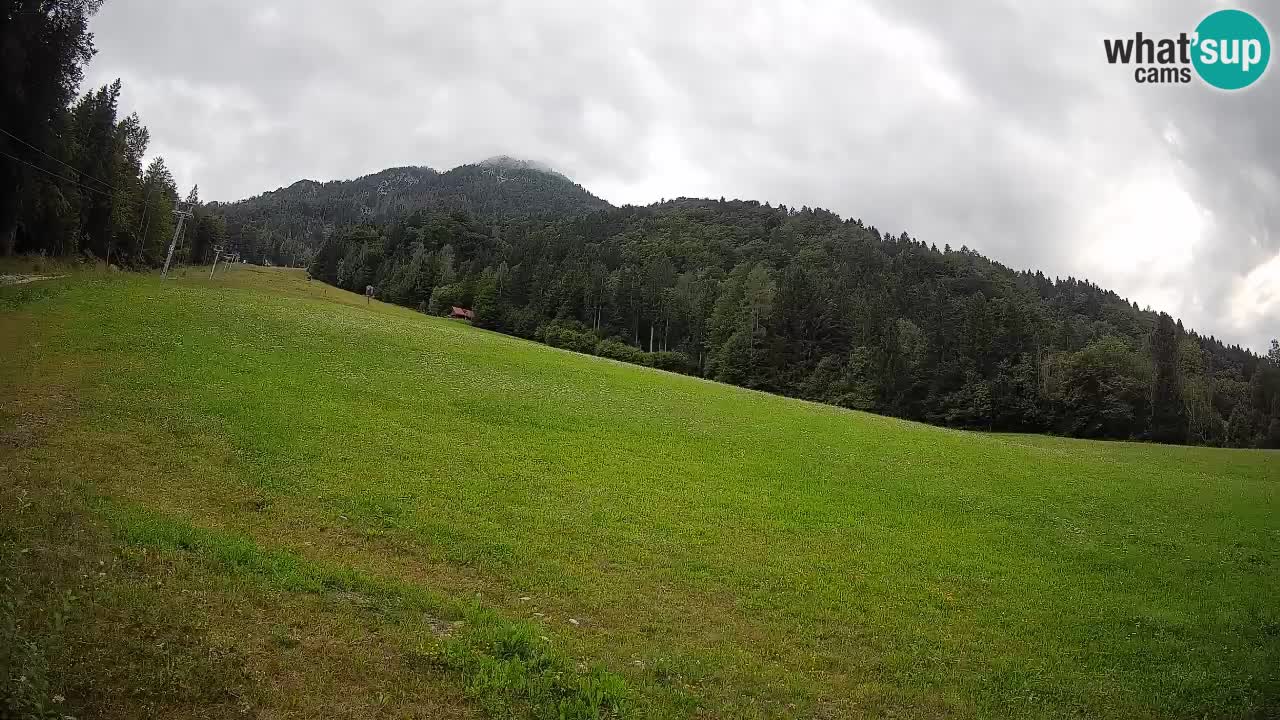 Ski Kranjska Gora | Brsnina