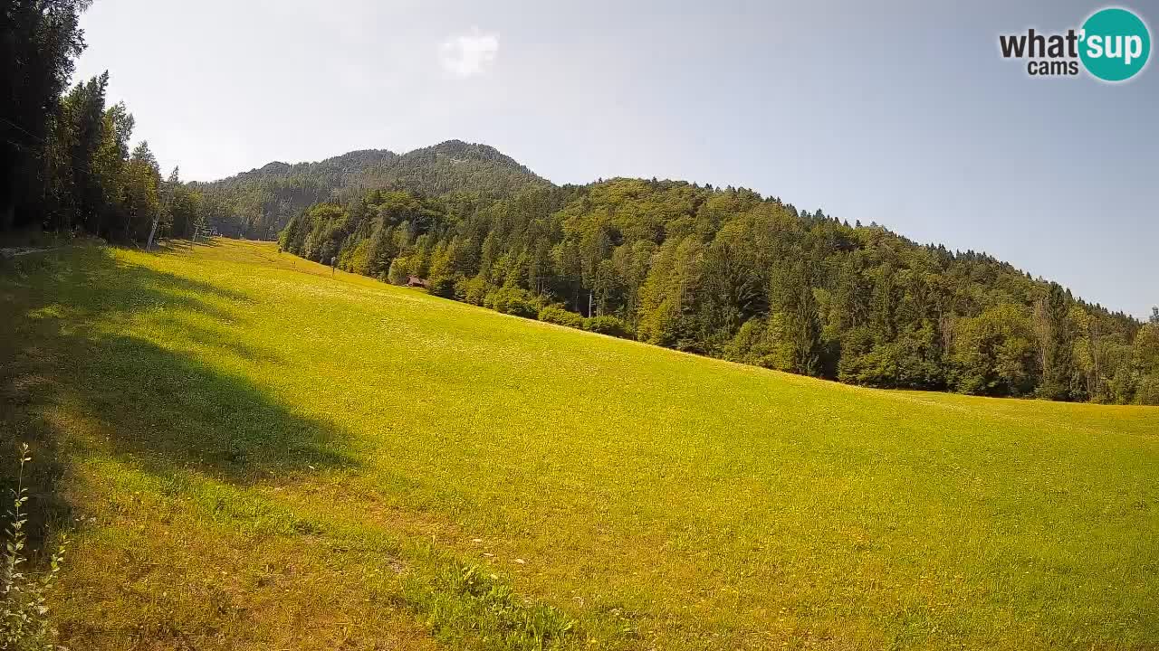 Comprensorio sciistico Kranjska Gora | Brsnina