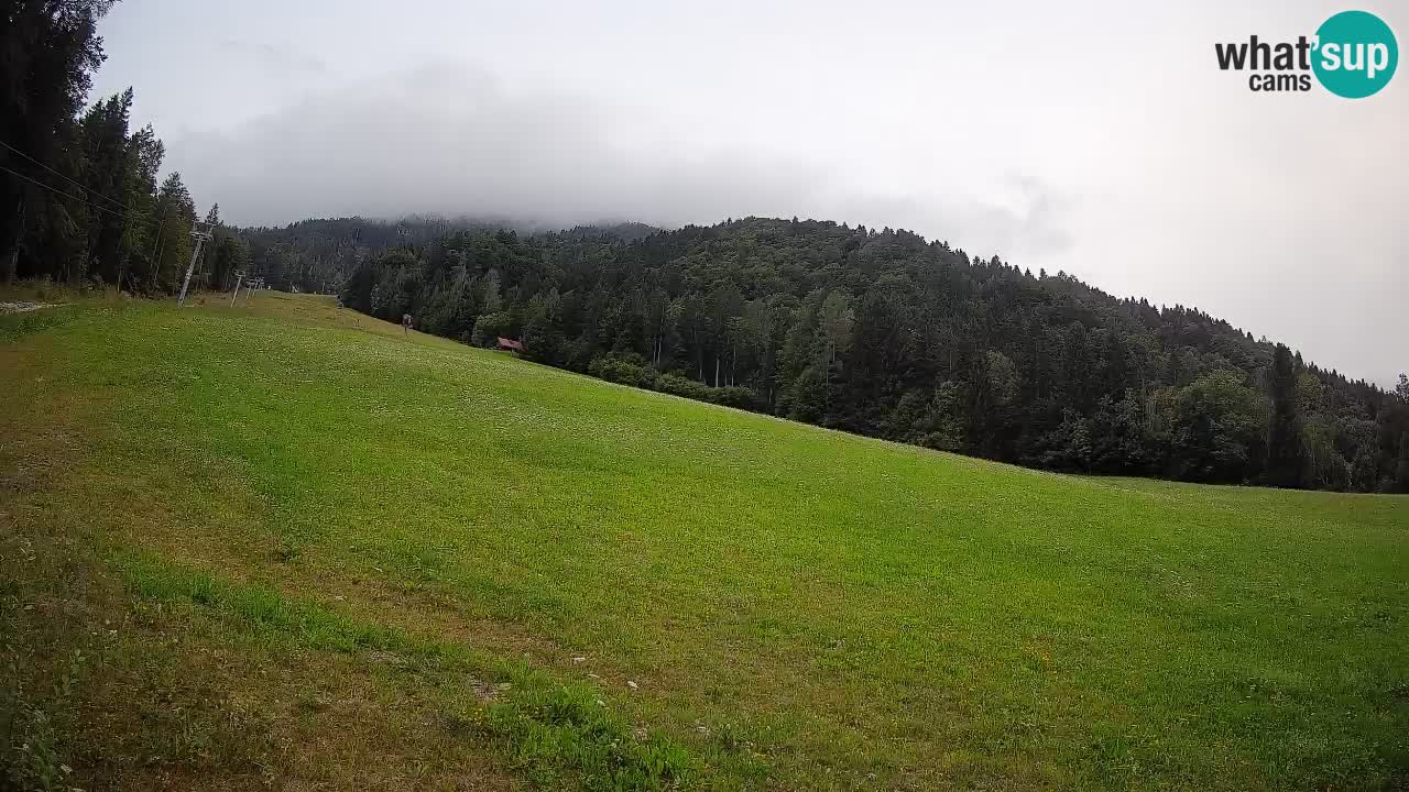 Ski Kranjska Gora | Brsnina