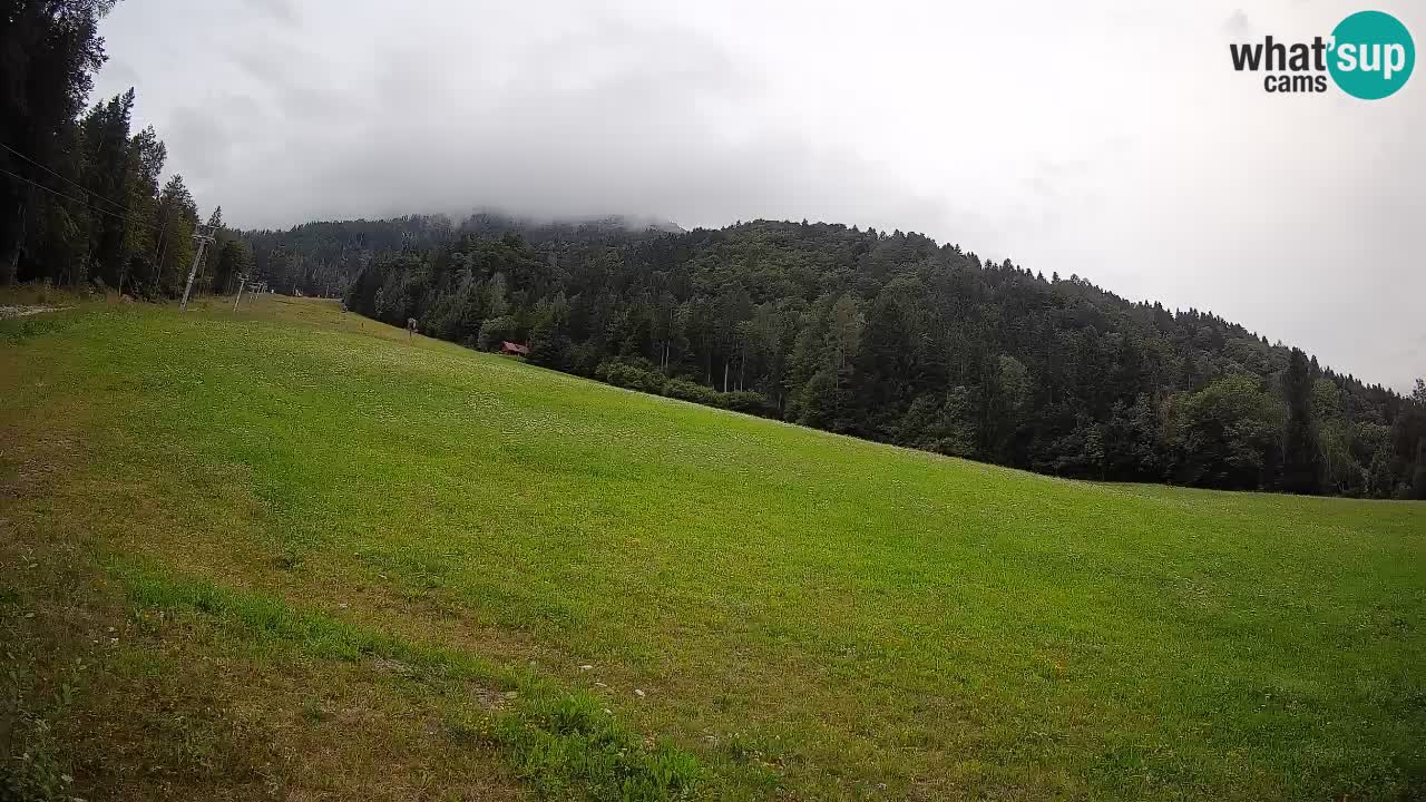 RTC Skigebiet Kranjska Gora | Brsnina