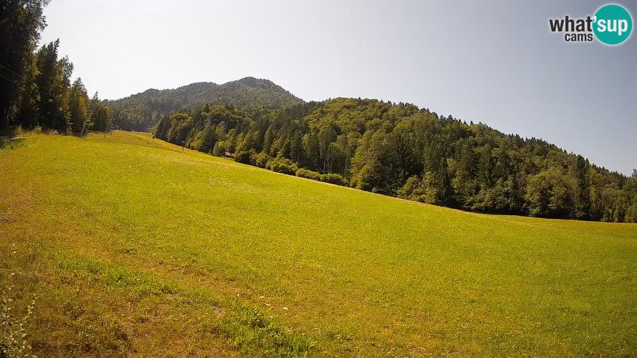 Ski Kranjska Gora | Brsnina