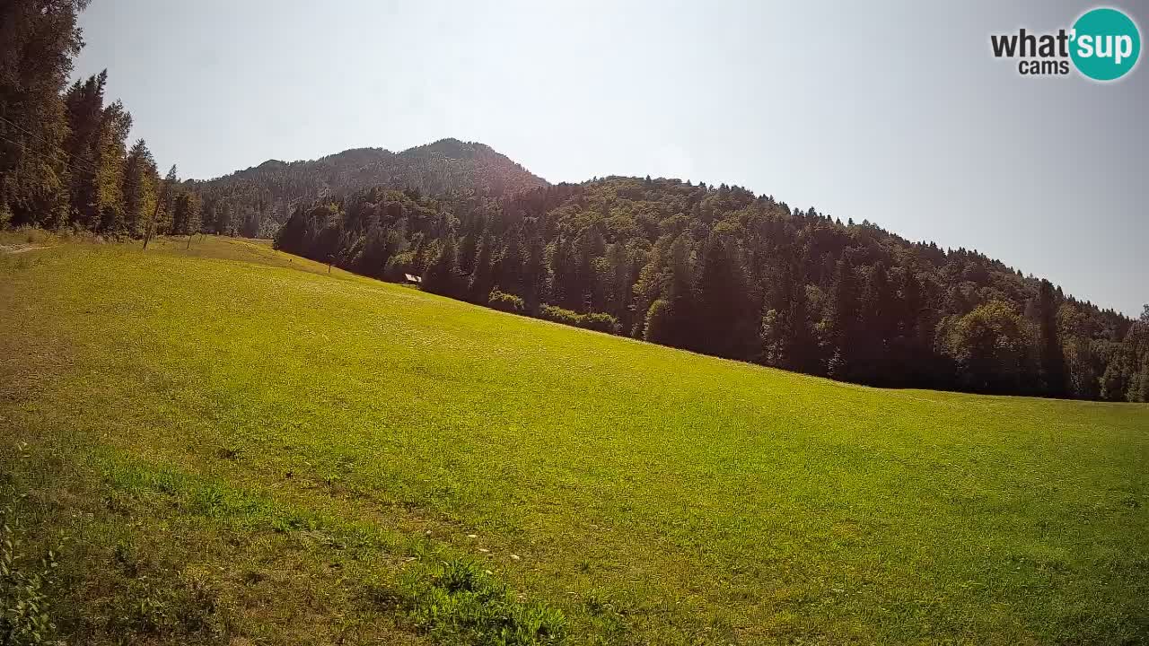 Comprensorio sciistico Kranjska Gora | Brsnina