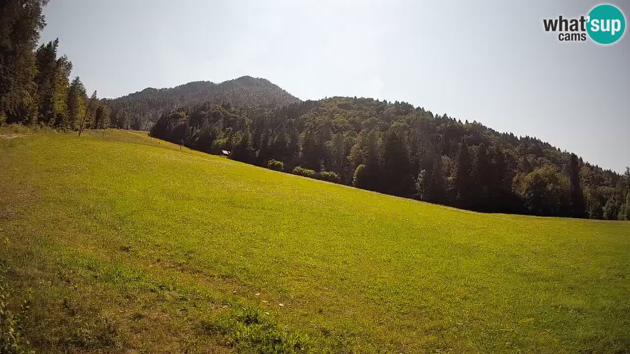 Ski Kranjska Gora | Brsnina