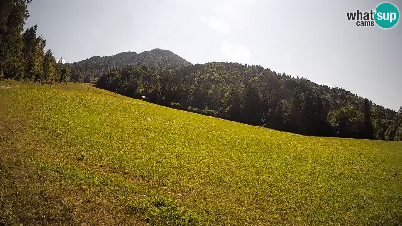 Comprensorio sciistico Kranjska Gora | Brsnina
