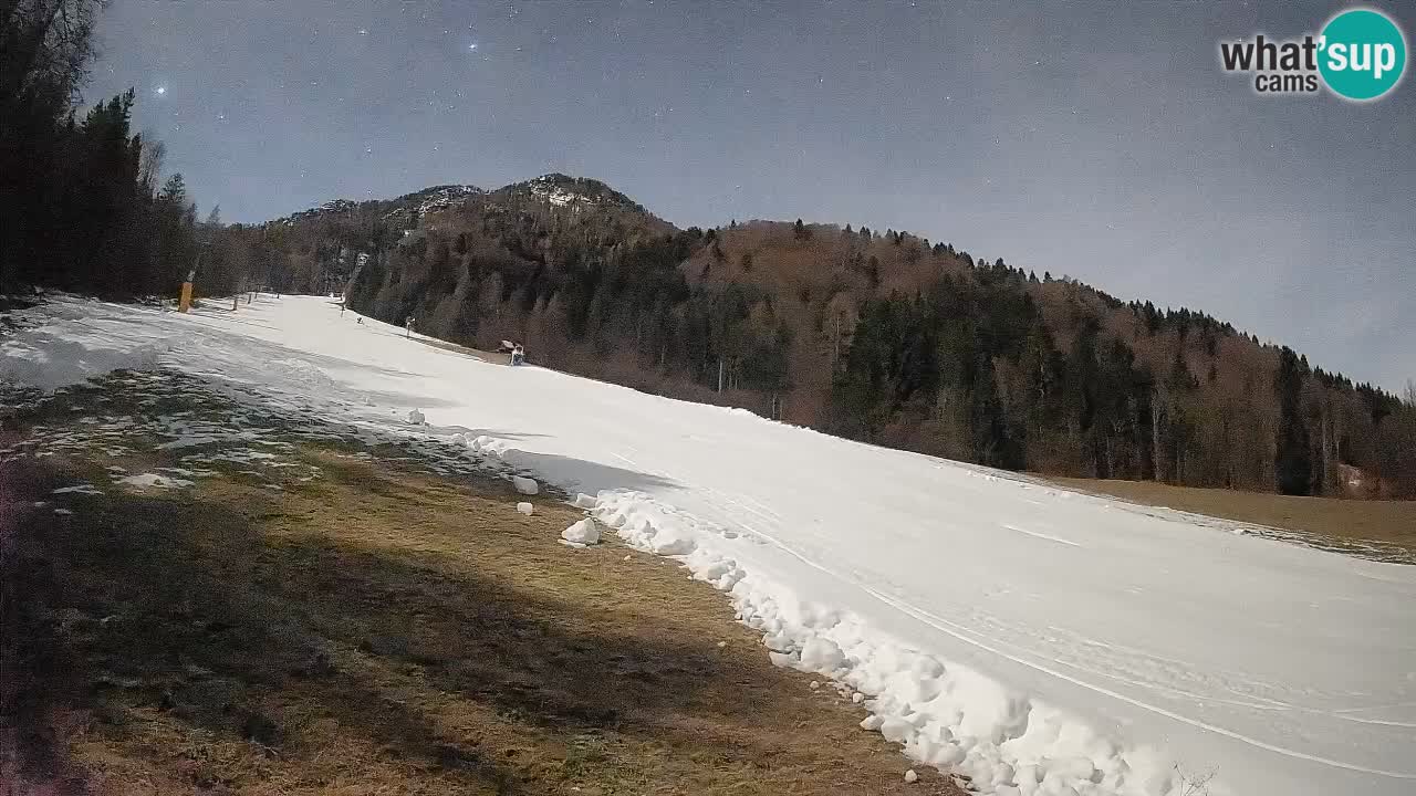 RTC Skigebiet Kranjska Gora | Brsnina