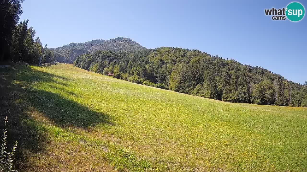Ski Kranjska Gora | Brsnina