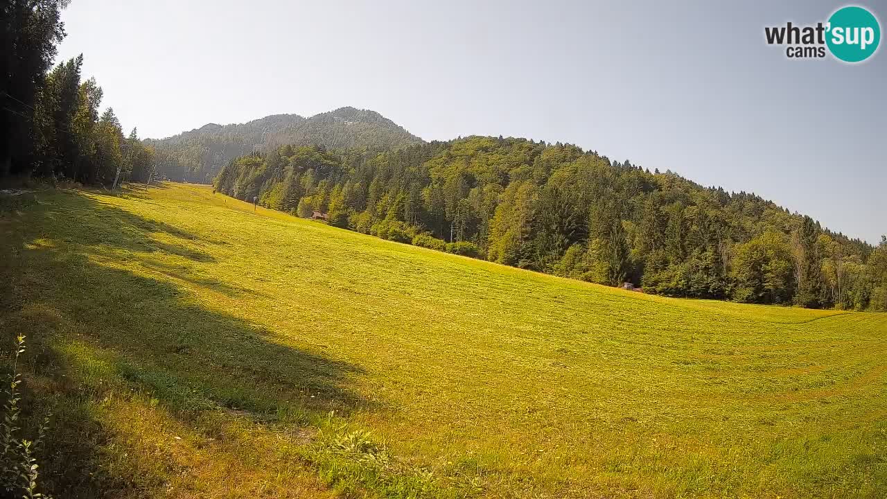 RTC Kranjska Gora | Brsnina