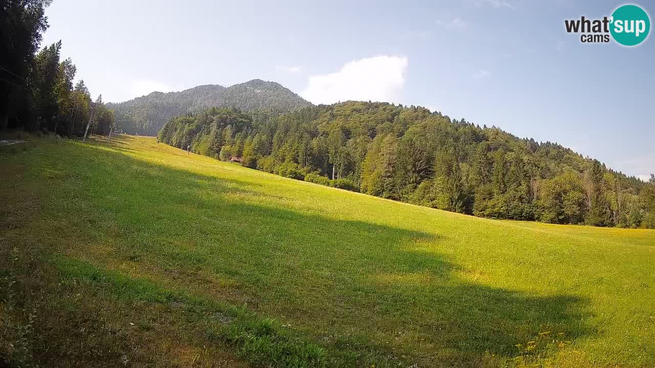 RTC Kranjska Gora | Brsnina