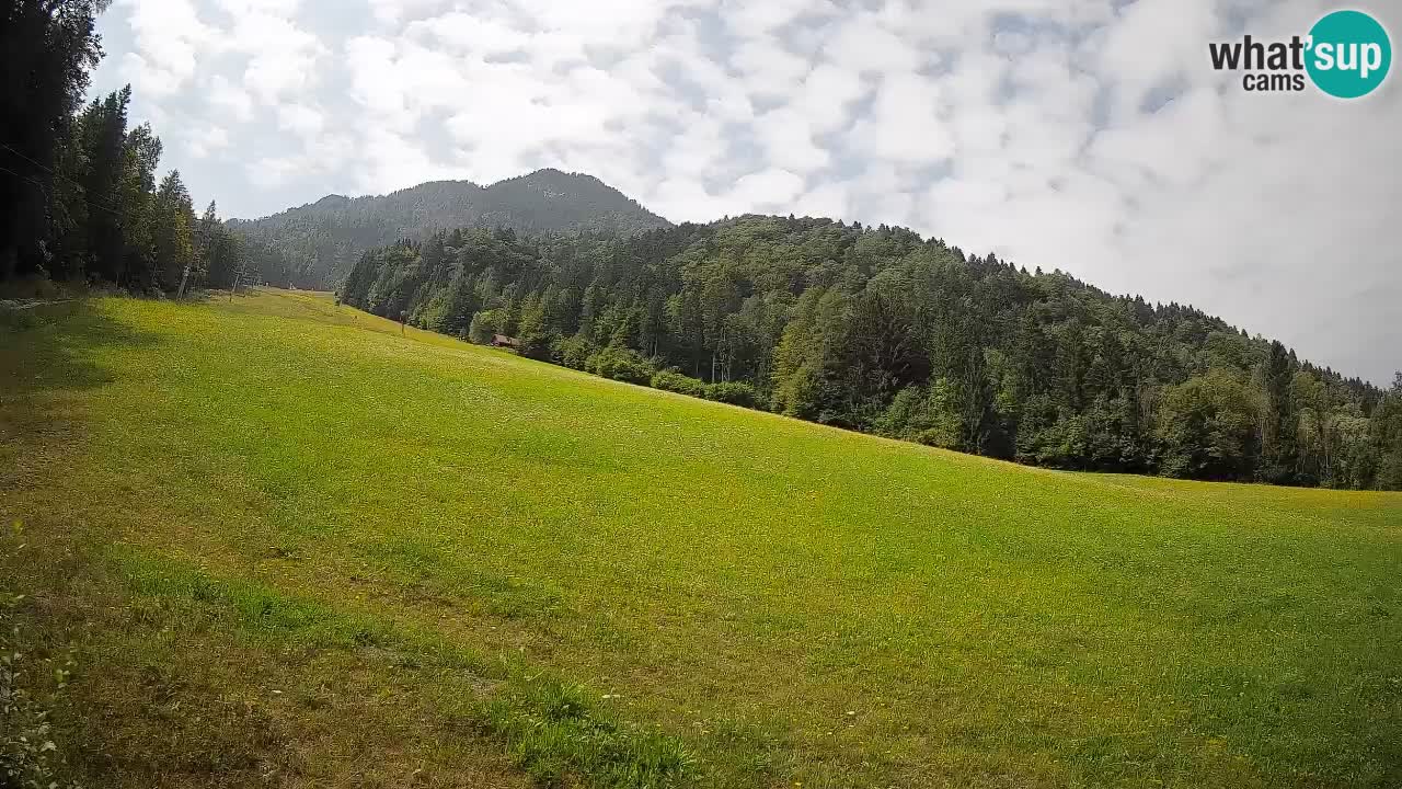 RTC Kranjska Gora | Brsnina