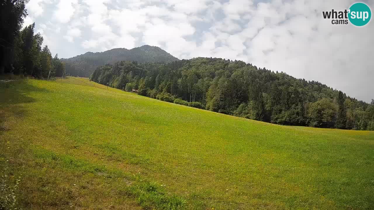 RTC Kranjska Gora | Brsnina