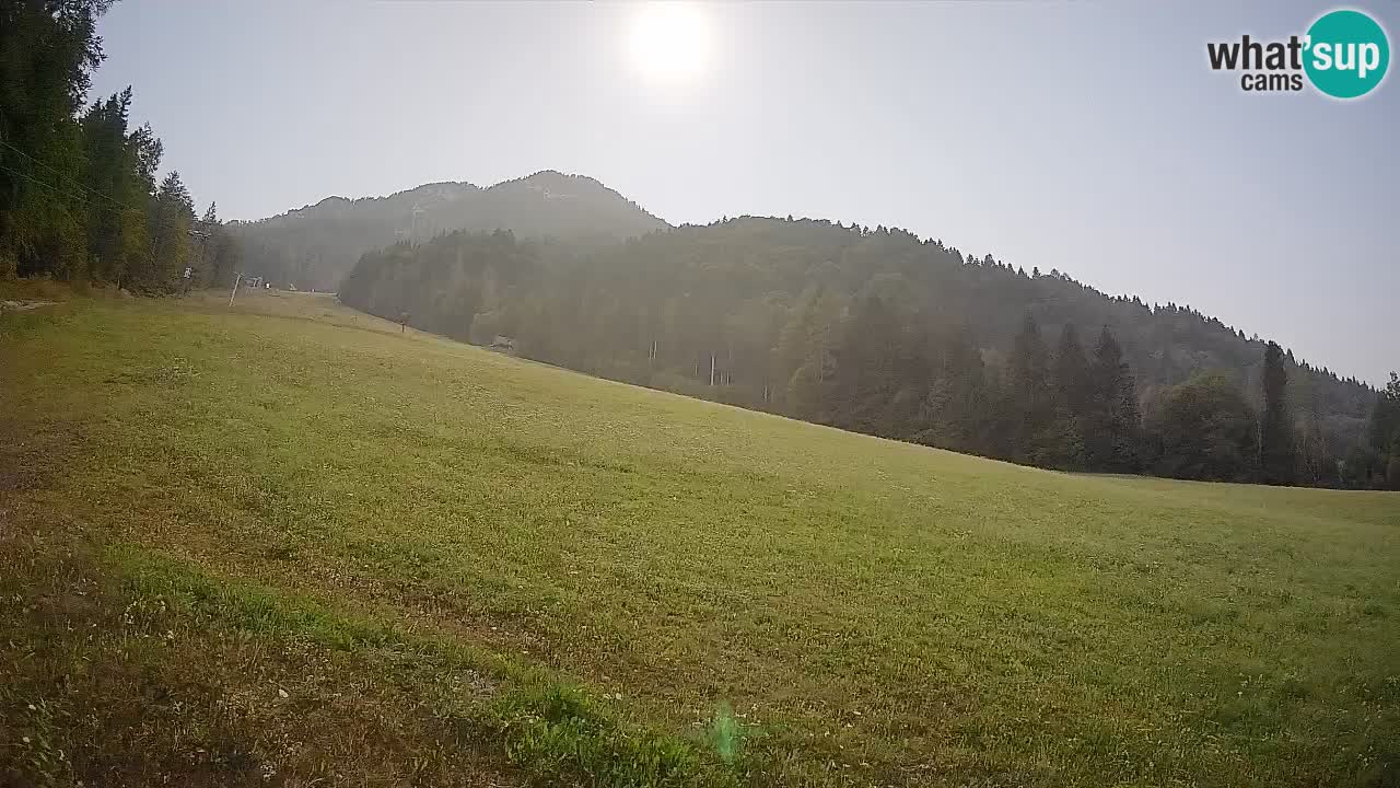 RTC Kranjska Gora | Brsnina