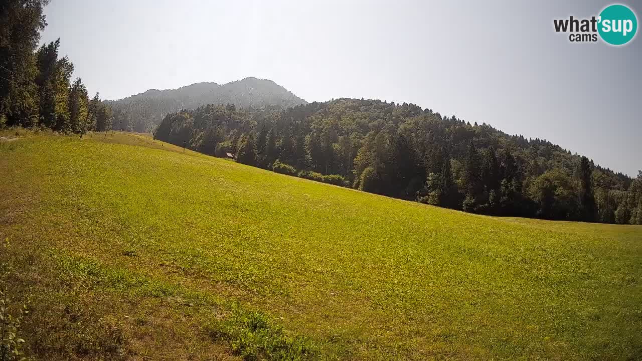 RTC Kranjska Gora | Brsnina