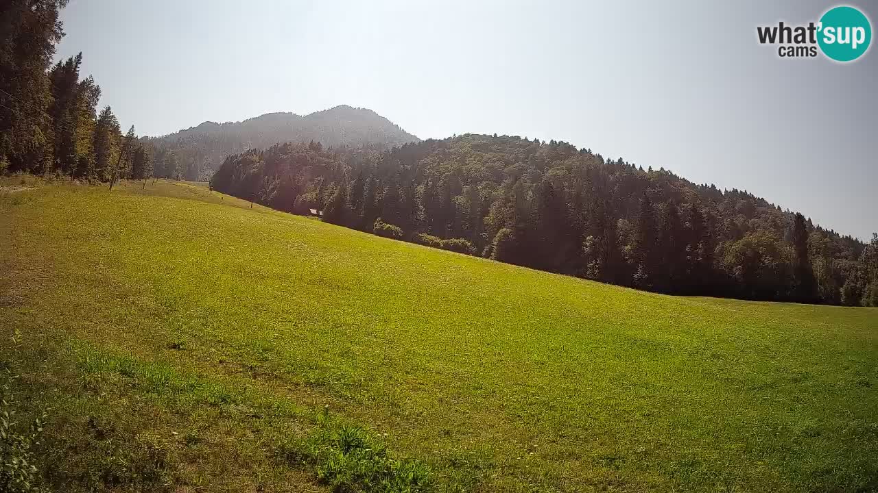 RTC Kranjska Gora | Brsnina