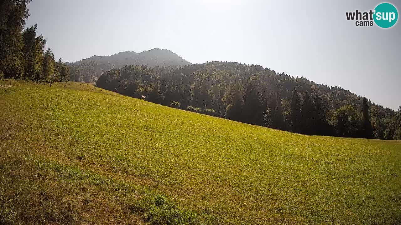 RTC Kranjska Gora | Brsnina