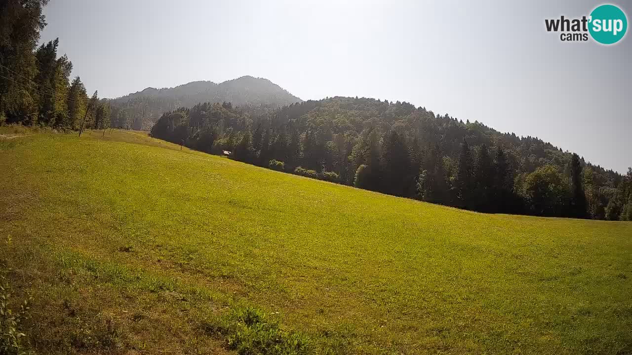 Comprensorio sciistico Kranjska Gora | Brsnina
