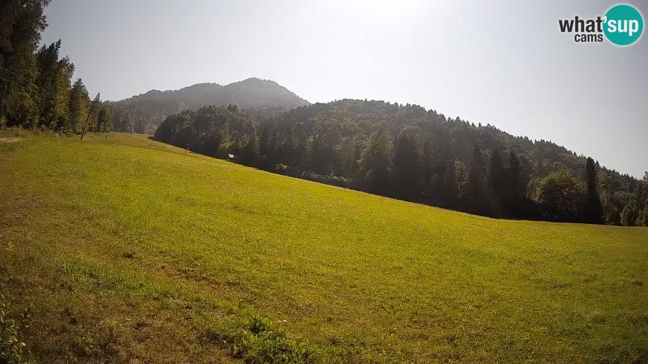 RTC Kranjska Gora | Brsnina