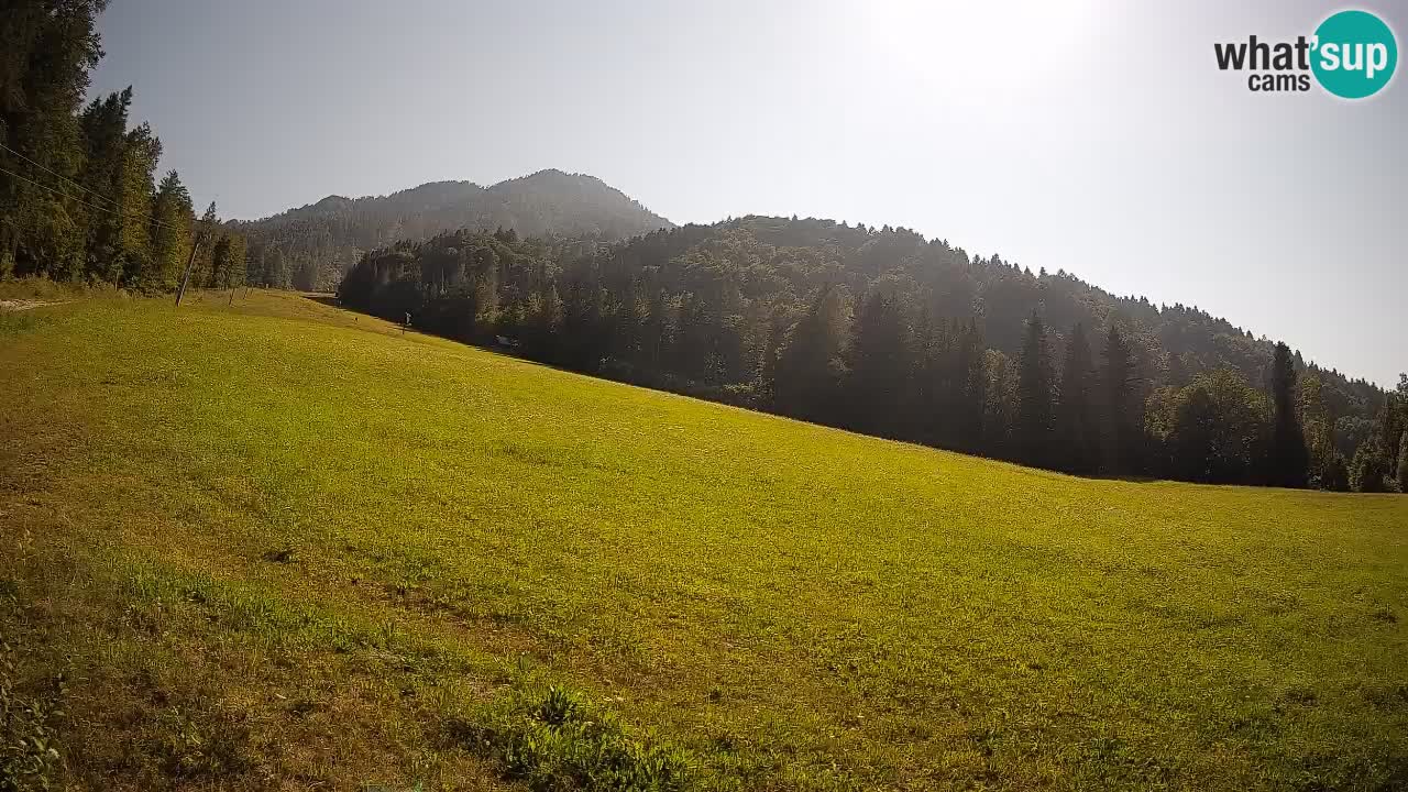 RTC Kranjska Gora | Brsnina