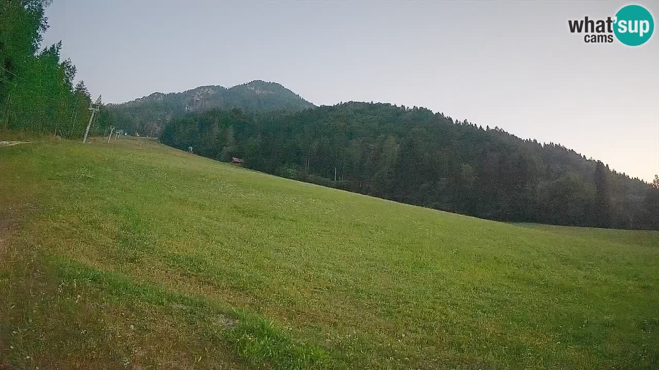 RTC Skigebiet Kranjska Gora | Brsnina