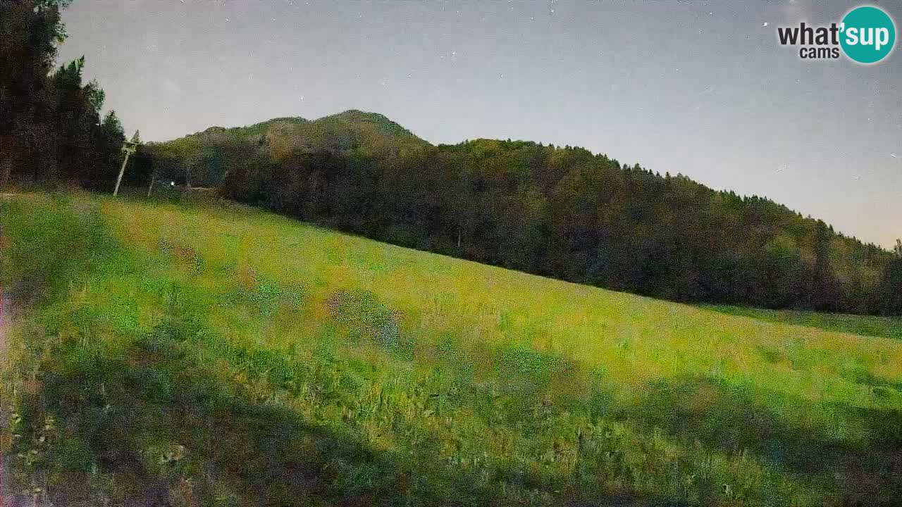 RTC Kranjska Gora | Brsnina