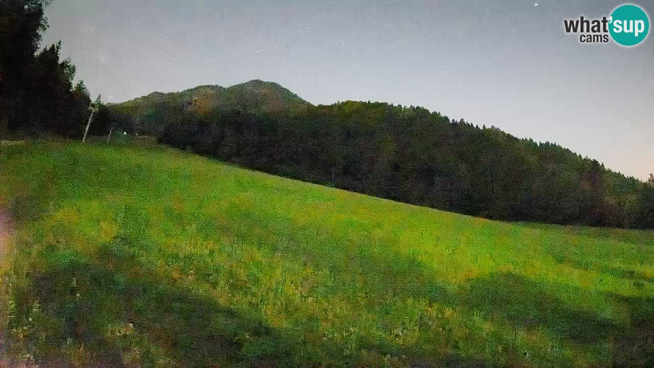 Kranjska Gora SKIJANJE | Brsnina