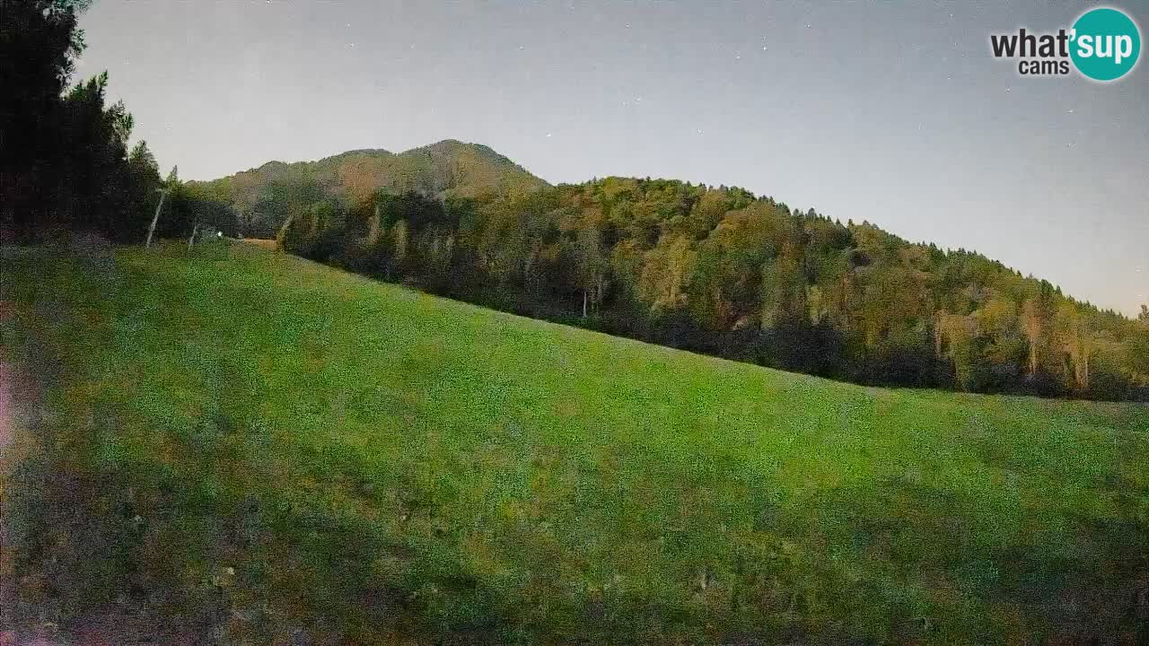 RTC Kranjska Gora | Brsnina
