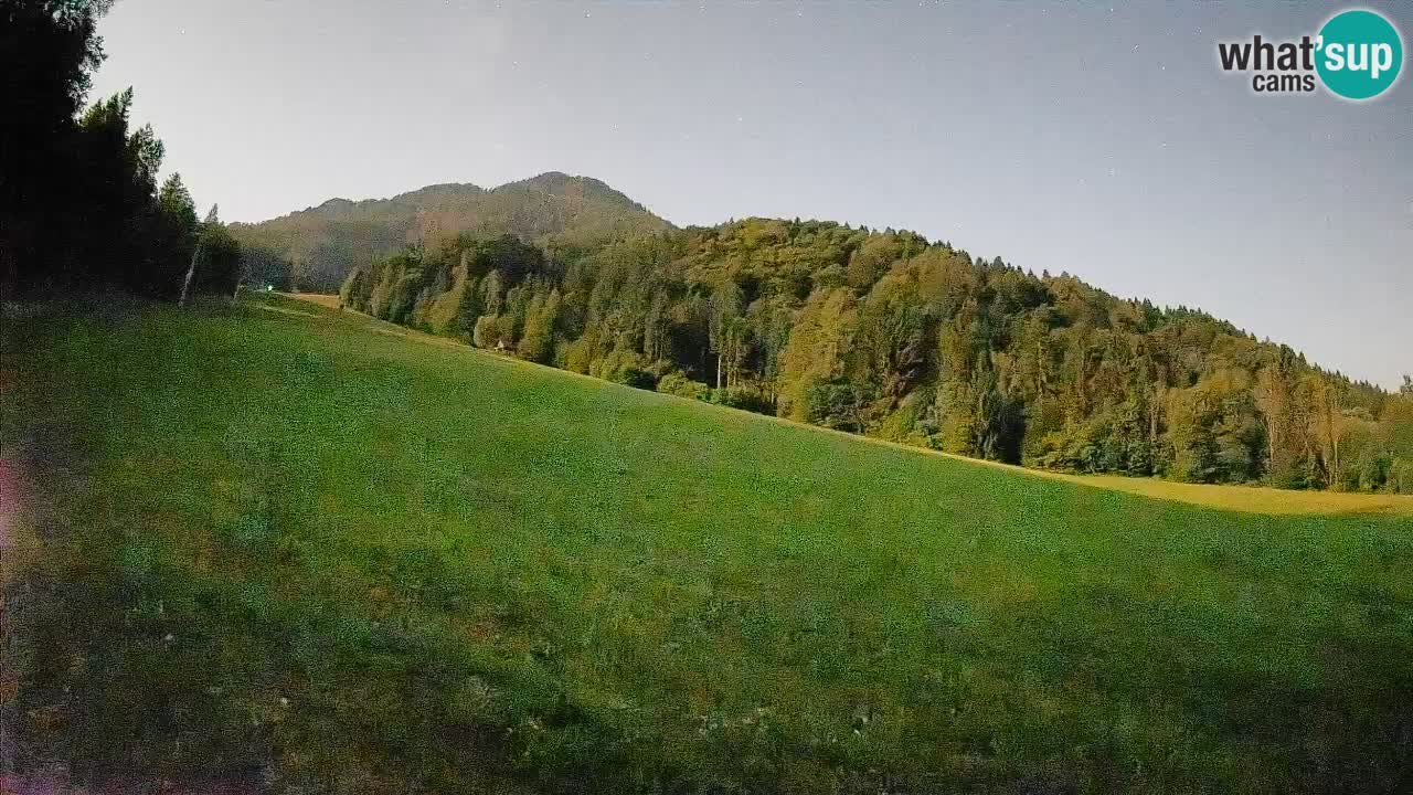 RTC Kranjska Gora | Brsnina