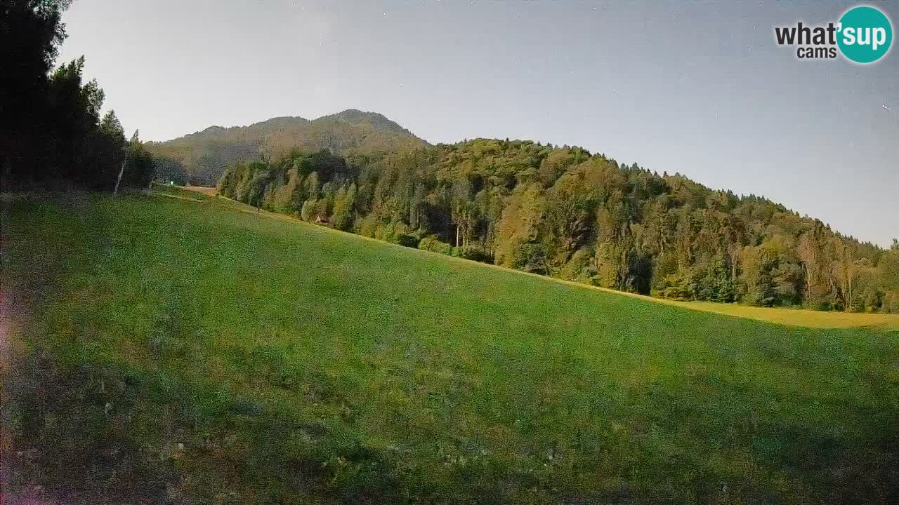 RTC Kranjska Gora | Brsnina