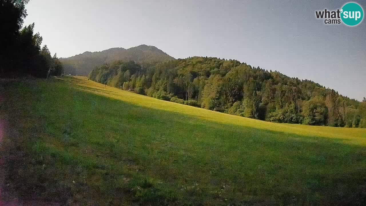 RTC Skigebiet Kranjska Gora | Brsnina