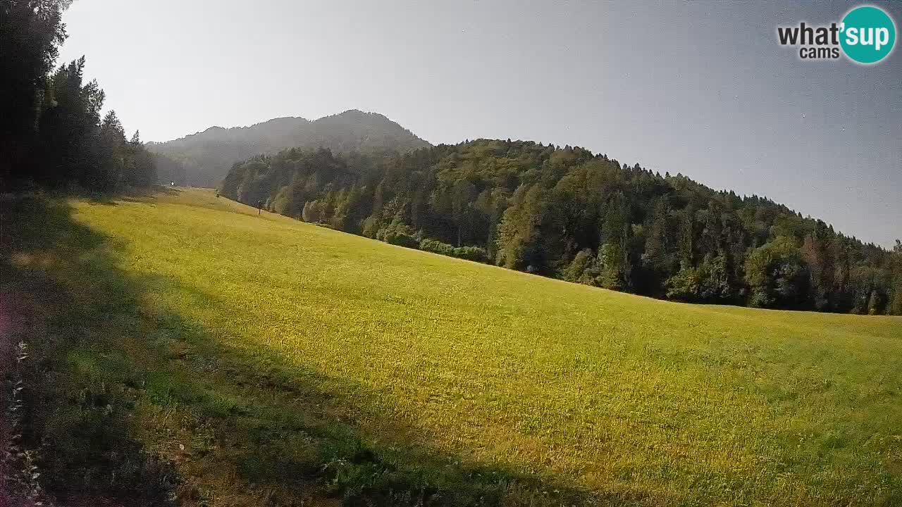 RTC Skigebiet Kranjska Gora | Brsnina