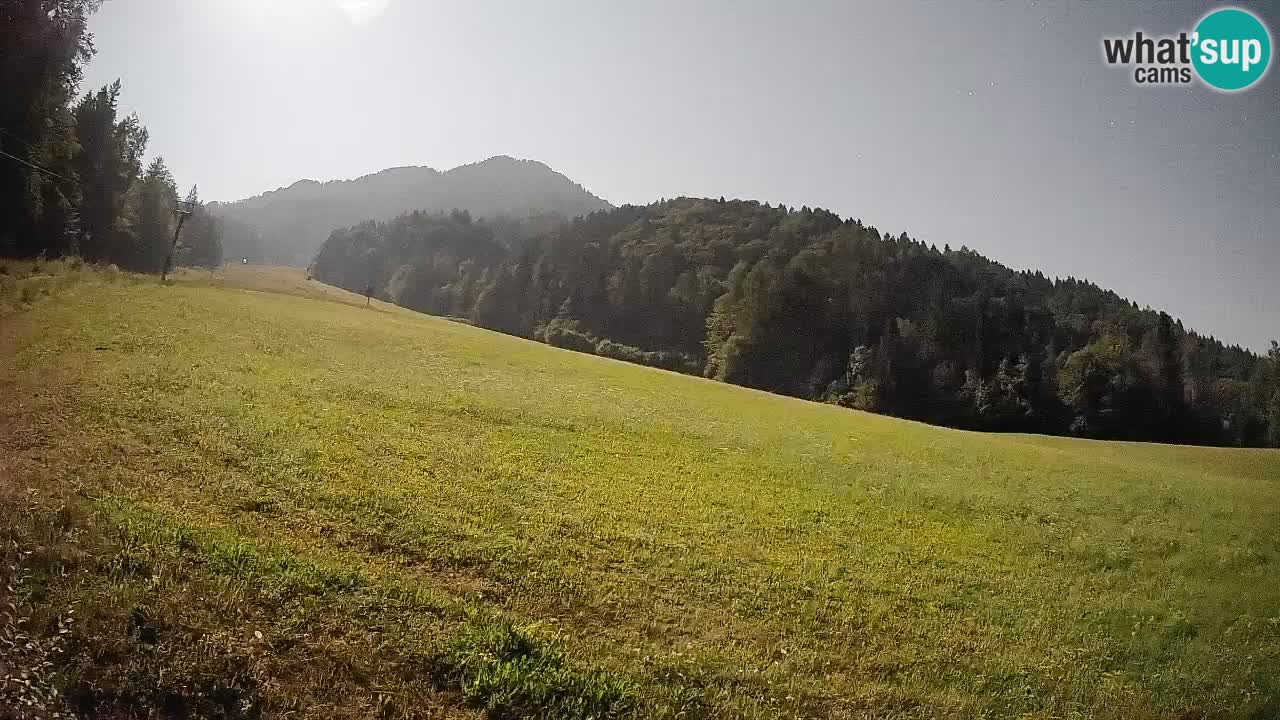 RTC Skigebiet Kranjska Gora | Brsnina