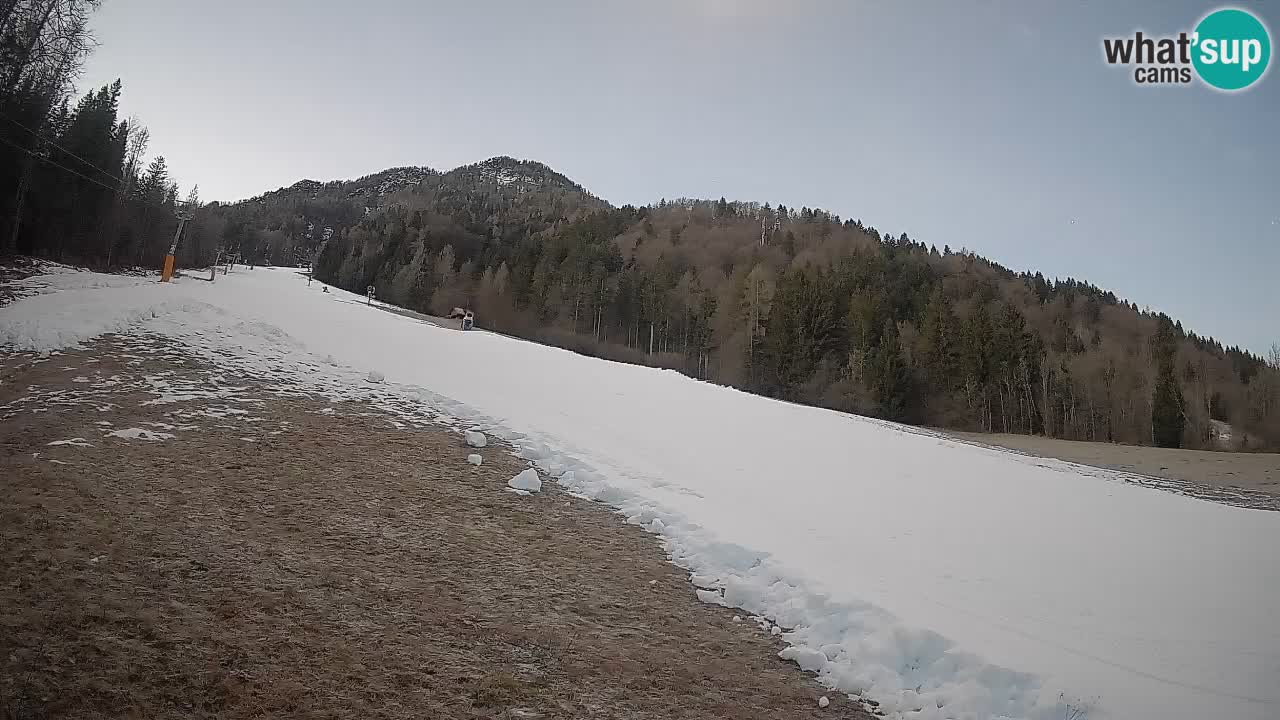 RTC Skigebiet Kranjska Gora | Brsnina