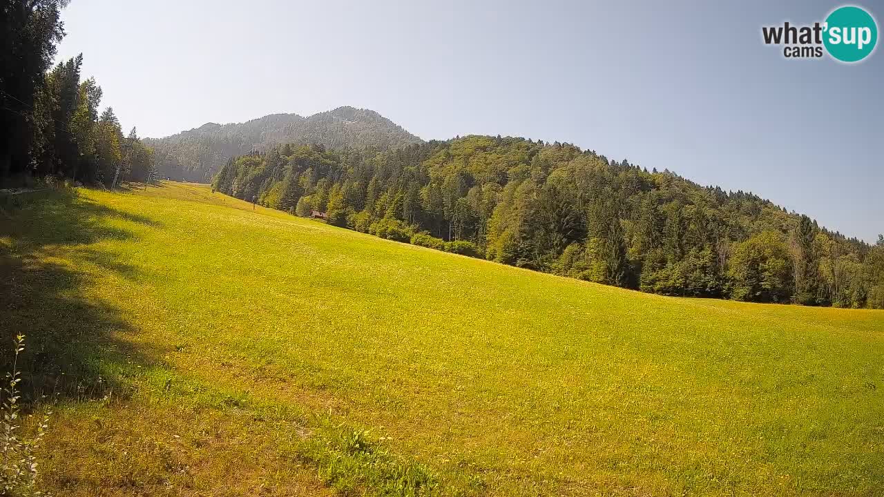 Comprensorio sciistico Kranjska Gora | Brsnina