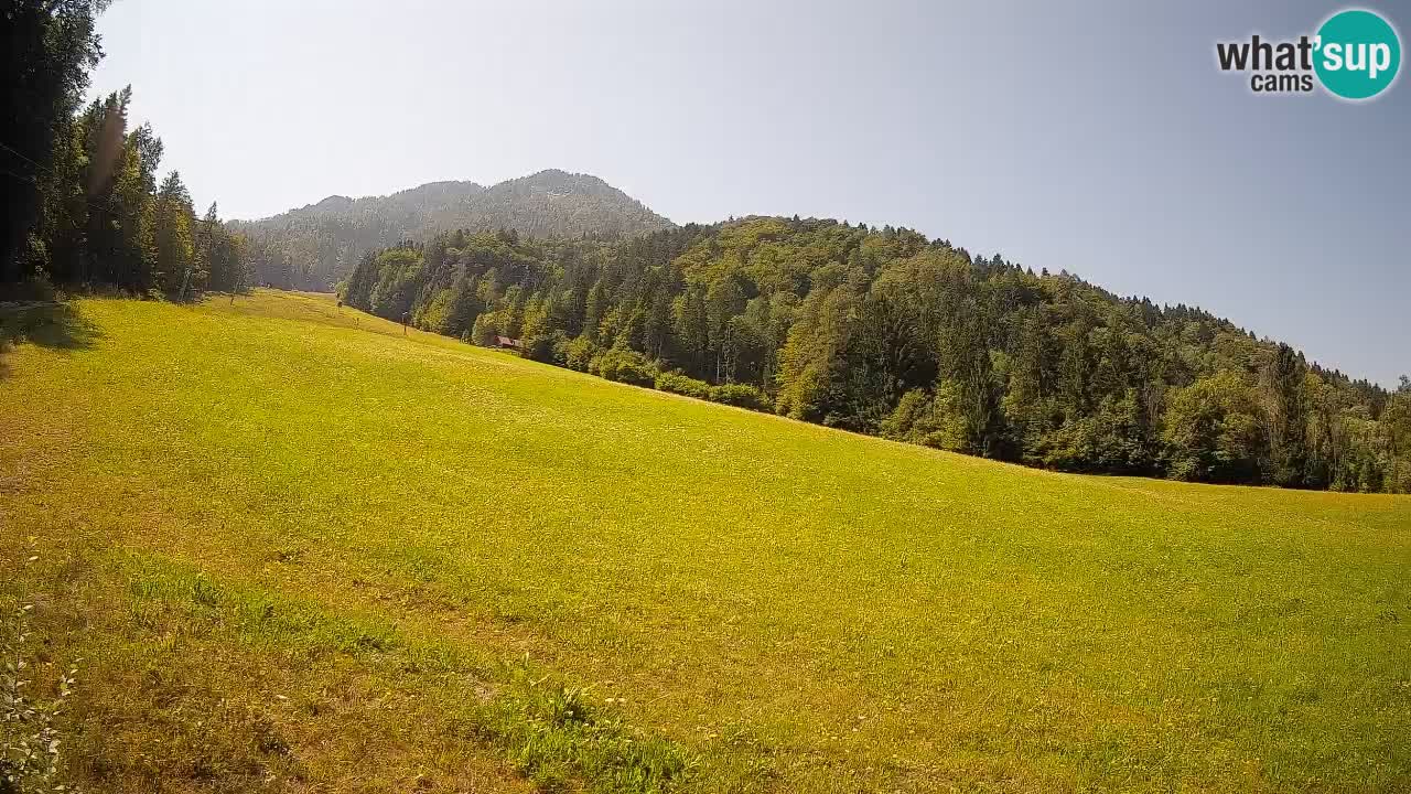 RTC Kranjska Gora | Brsnina