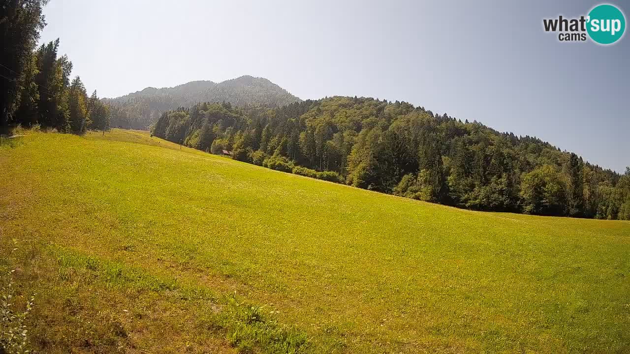 RTC Kranjska Gora | Brsnina